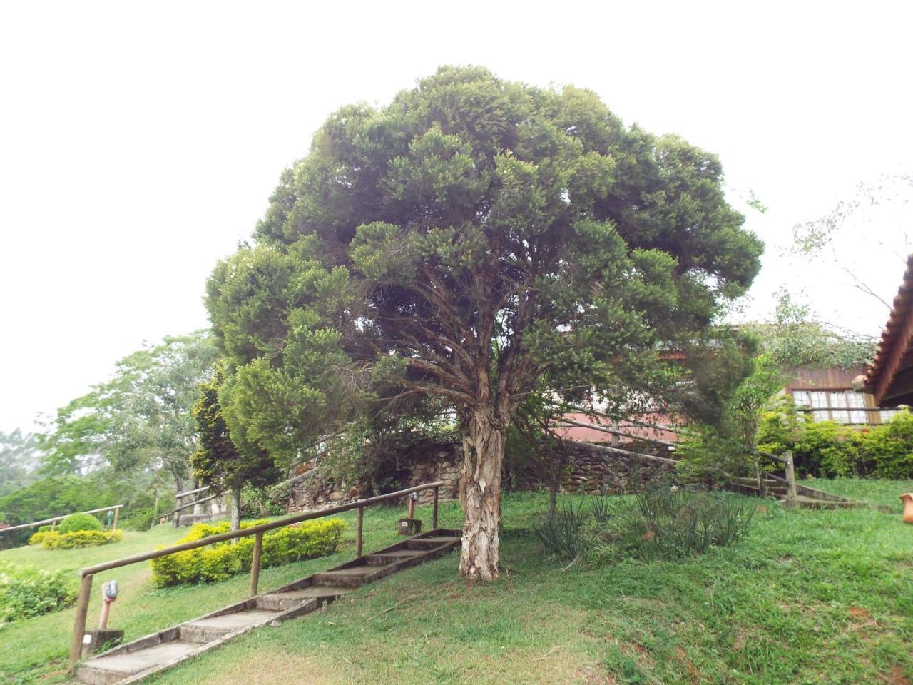 Estrela Da Serra Hotel Fazenda Santo Antônio do Pinhal Exteriér fotografie